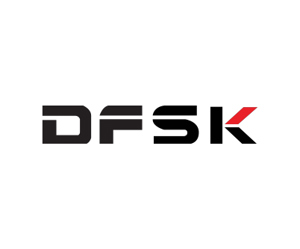 DFSK Logo